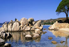 关于内马尔连续十五场比赛得分超过败北，公牛挑战极限！的信息